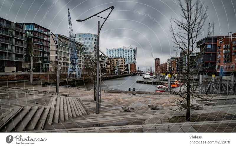 Hafencity Hamburg Stairs Office building Reflection Contrast Clouds Exterior shot Light Shadow Modern Hip & trendy Discover Facade High-rise Park