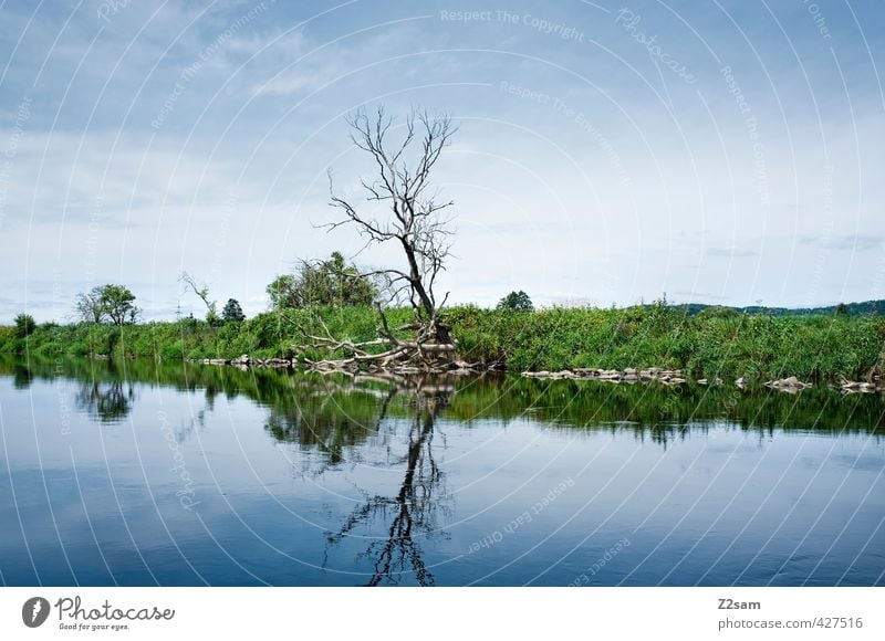 transience Nature Landscape Cloudless sky Summer Beautiful weather Tree Bushes Meadow Lakeside River Esthetic Simple Cold Natural Clean Blue Green Loneliness