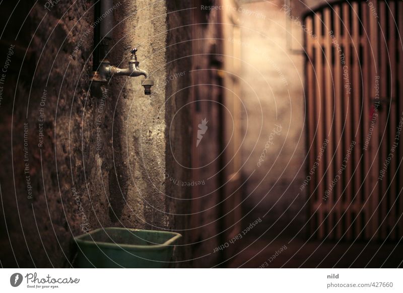 cellar Wall (barrier) Wall (building) Cellar cellar compartment Tap Bucket Dark Creepy Brown Gray Putrid Cold Damp Colour photo Interior shot Detail