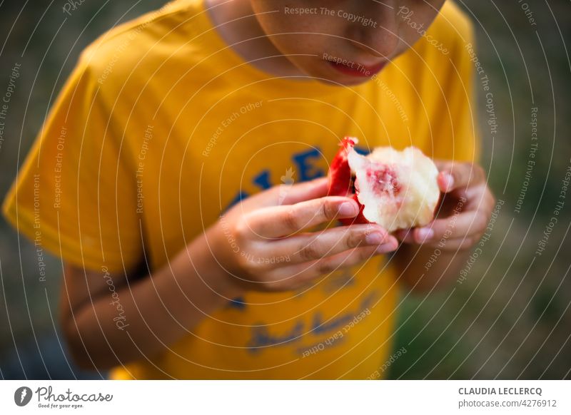 Boy eating a peach Summer France Peach Colour photo Fruit Food Nutrition Healthy Eating Vegetarian diet Food photograph Vitamin Vegan diet Diet Delicious