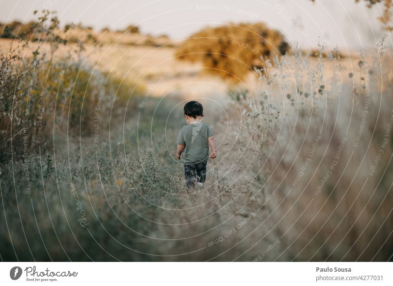 Rear view child walking in the fields Child Field 1 - 3 years Summer Summer vacation Day Vacation & Travel Toddler Human being Exterior shot Colour photo