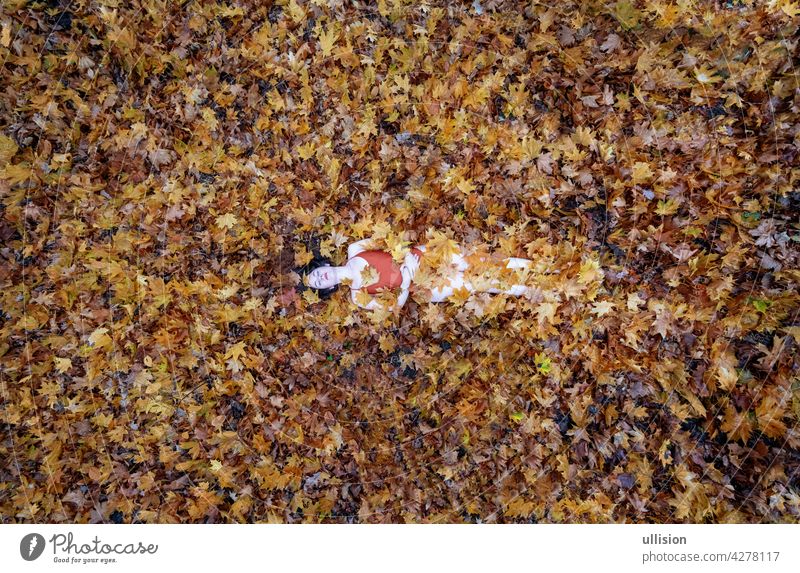 Beautiful sexy beautiful young girl lying on autumn leaves, covered with yellow autumn leaves, in park, copy space Pebble Maple tree Pattern Leaf To fall Nature