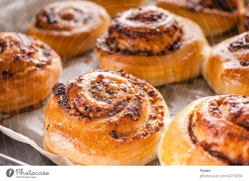 Close-up sweet Scadinavian aromatic cinnamon rolls. Traditional homemade pastry made from butter dough. Delicious buns on baking paper. Winter christmas Scandinavian pastries.