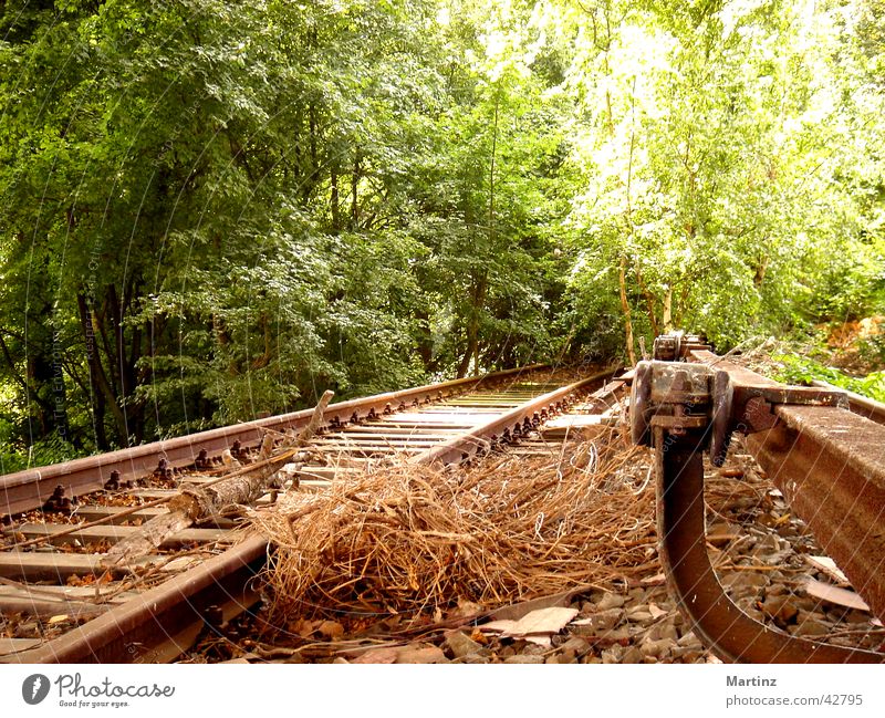 Track into the green Railroad tracks Transport industrial memory former railway line A way into the green