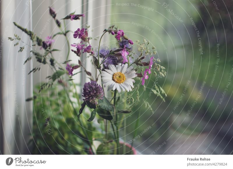 Meadow flowers in the vase on the windowsill meadow flowers Ostrich Picked Vase with flowers Window Bouquet Flower Decoration Interior shot White Pink Blossom