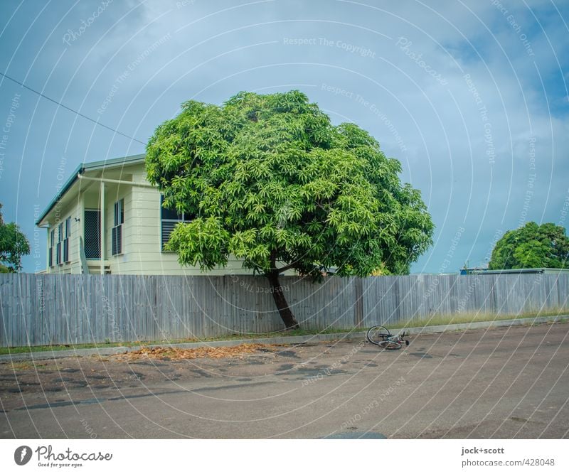 second day Exotic Sky Tree Queensland Street Bicycle Lie Retro Warmth Serene Idyll Intensive Wooden fence Wooden house Tropical Natural phenomenon Morning