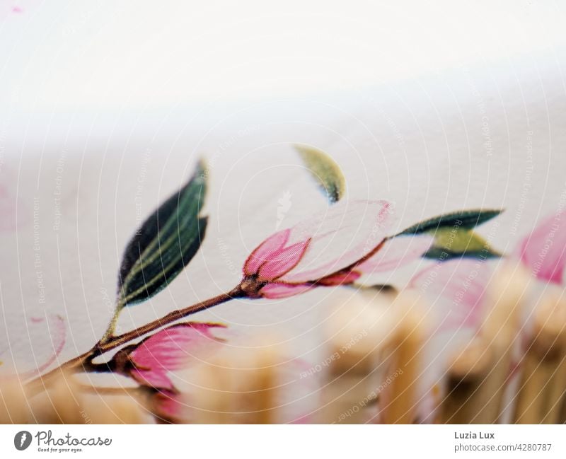 Pink flower on wax table cloth, japanese looking Blossom flowering twig Delicate pretty Bright wax tablecloth Bamboo stick Drawing Spring