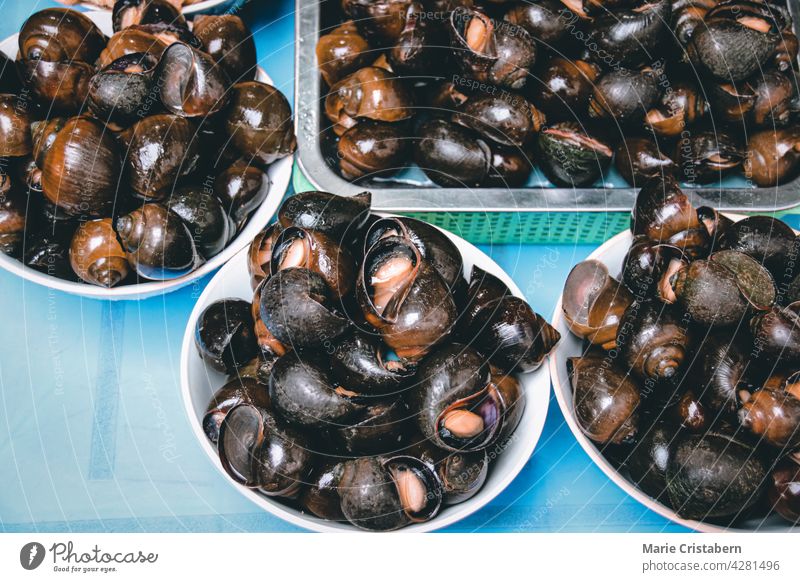 Pomacea Canaliculata or Oc Buou, popular traditional Vietnamese Street food in Vietnam escargot Vietnamese Street Food Traditional Vietnamese Food Asian Cuisine