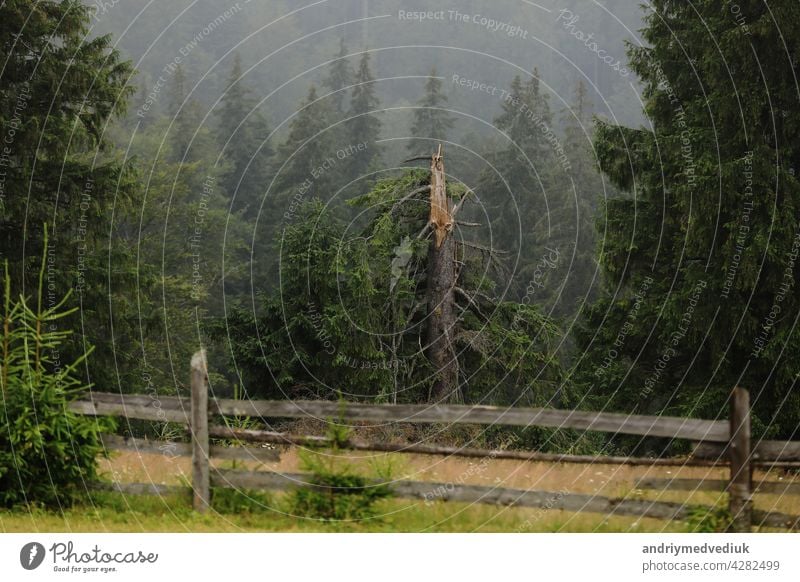 autumn meadow with a old wooden fence on a farm close up, in the Smoky Mountains on a foggy day. travel destination scenic, carpathian mountains green smoky