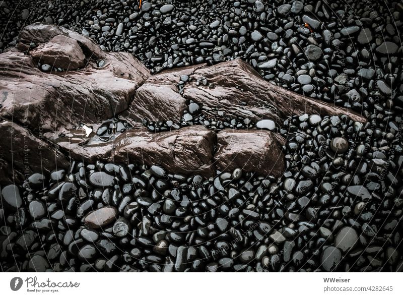 A large interestingly shaped brown stone shines wet amidst black pebbles Stone Wet Damp Earnest Rain White crest Beach coast Brown Black Abstract eccentric