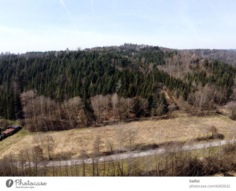 Aerial view of a mixed forest with blue grey sky and in front of it an agricultural road Forest Aerial photograph Nature Landscape Tree Deserted Winter