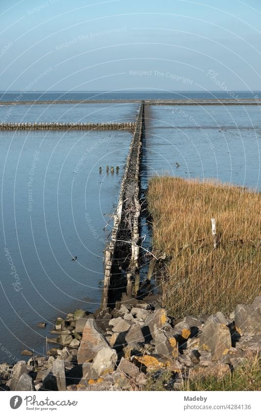 Coastal protection by barge construction in autumn in the Wadden Sea World Heritage Site in sunshine in Bensersiel near Esens on the North Sea in East Frisia in Lower Saxony