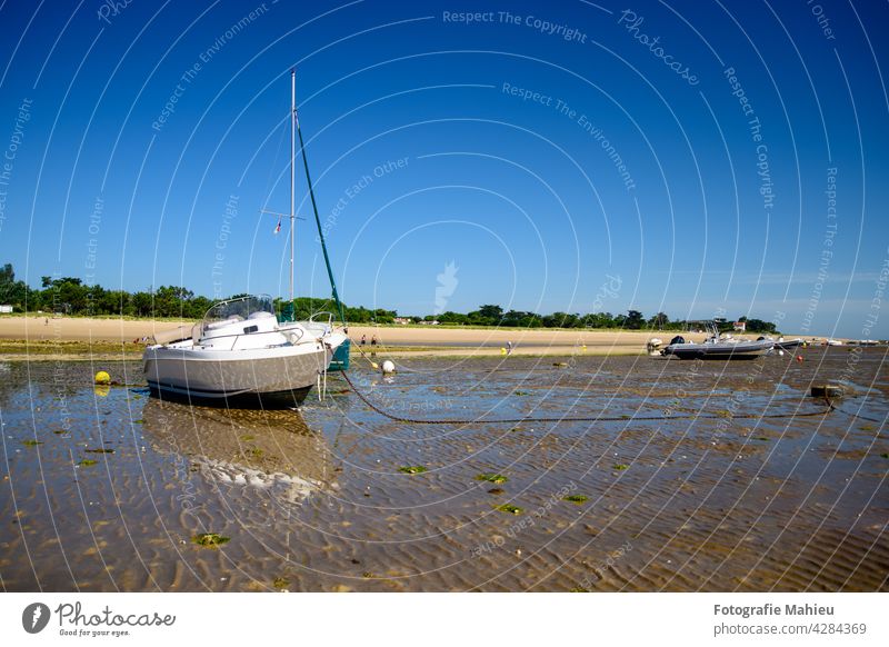 boats laying on the beach Charente-Maritime France Ile de re Nouvelle-Aquitaine Portes-en-Ré Sea Summer abundance beautiful blue sky boat laying buoy coast