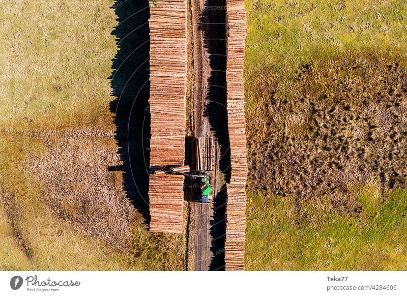 The Harvester harvester Wood technique logging Bark-beetle Climate change top down Industry forester wood industry Forester trees tree felling