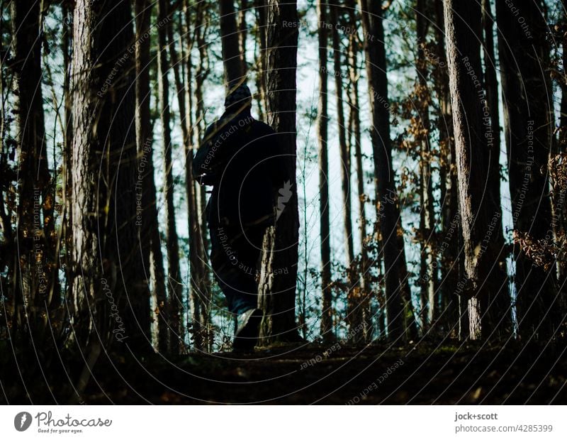 Walking between tree + bark Tree trunk Forest Nature Structures and shapes Silhouette Shadow Light (Natural Phenomenon) Back-light Contrast To go for a walk