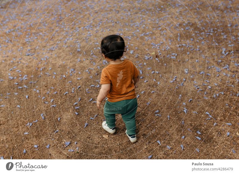 Child walking Rear view Walking 1 - 3 years Authentic Garden Nature Playing Day Colour photo Infancy Toddler Exterior shot Human being Unrecognizable Joy