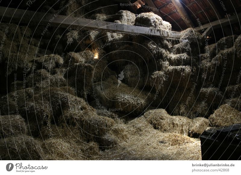 Straw - Soil Farm Dark Light Krefeld Craft (trade) Attic Floor covering Storage Shadow holthusen Julian brink