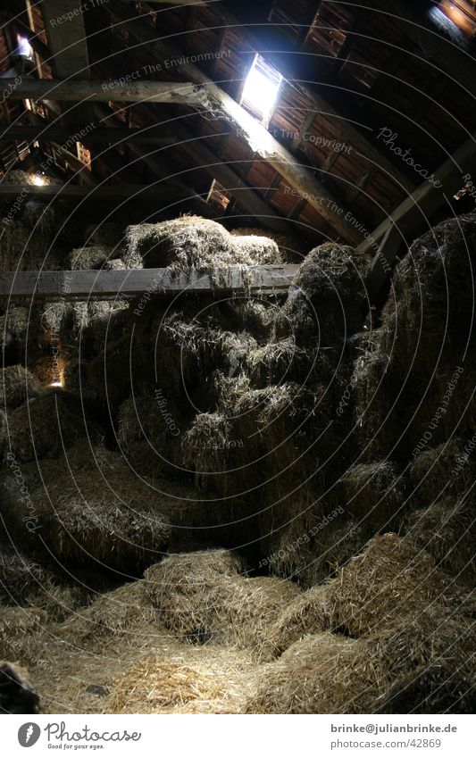 Straw - Soil II Farm Dark Light Krefeld Craft (trade) Attic Floor covering Storage Shadow holthusen Julian brink