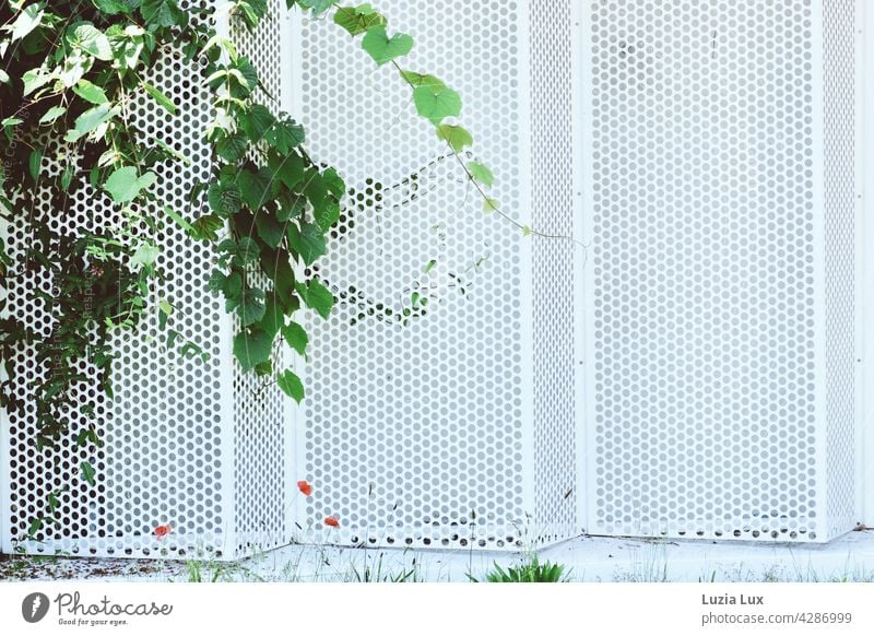 Parking garage wall made of white perforated sheeting, summery decorated in green and red Wall (building) Plate with holes White Bright Summery Building foliage