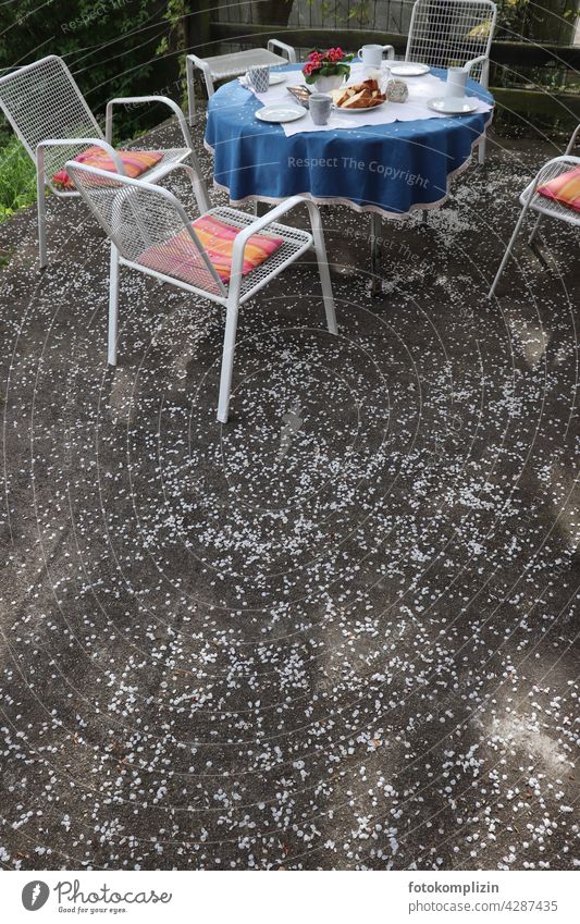 coffee table set on a flower covered terrace Terrace Coffee table Table laid table petals Outdoor furniture Invitation Seating Hospitality Garden chair