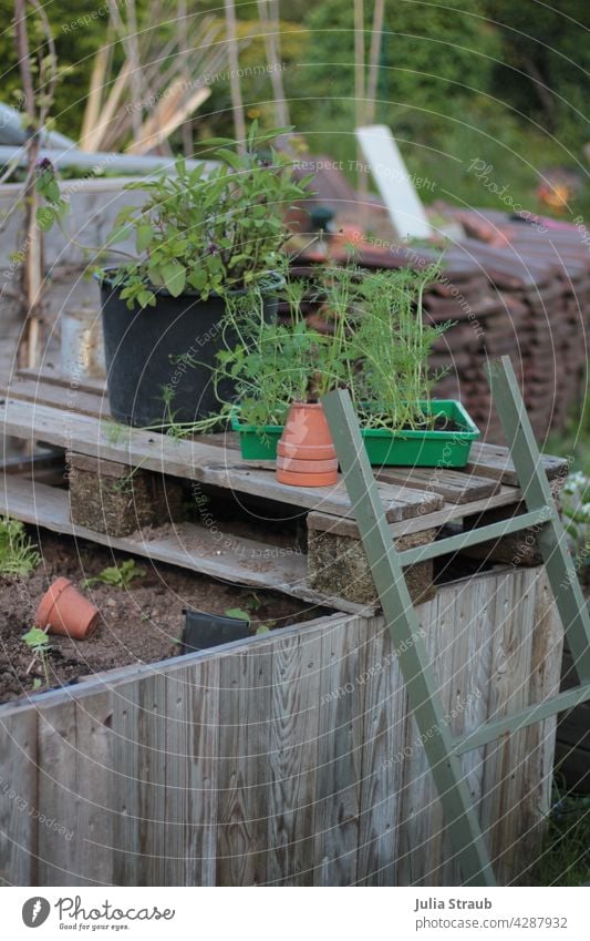 Garden with raised bed and ladder Ladder Metal Clay pot Earth Ground plants Cosmea Sage Nature permaculture Suntrap Bamboo stick brick Spring Summer Vine out