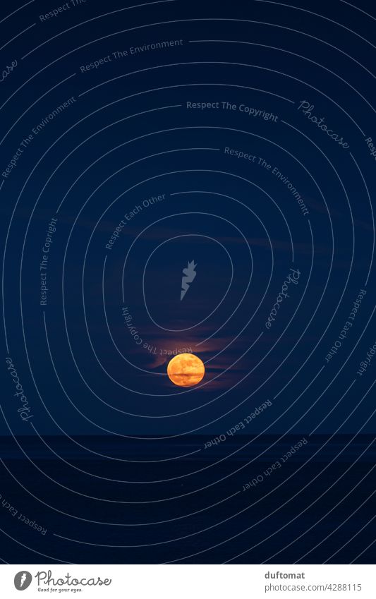 Full moon over the sea Moon Full  moon Night pink moon supermoon Celestial bodies and the universe Earth satellite Moonrise Blue blue hour Twilight Ocean