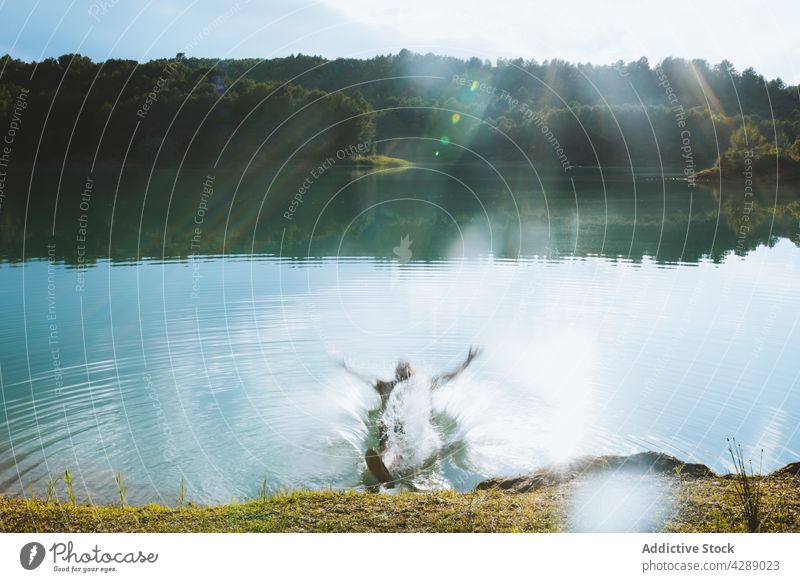 Man having fun on lake man jump reflection water summer forest landscape mountain nature beautiful tranquil blue serene green scene spring europe tree scenery