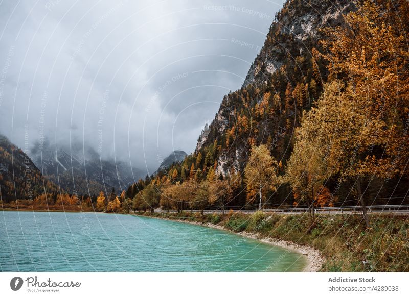 Mountain and trees on lake in dolomite forest water tourism landscape beautiful colorful travel road nature panorama park dobbiaco trentino alps italian scenery