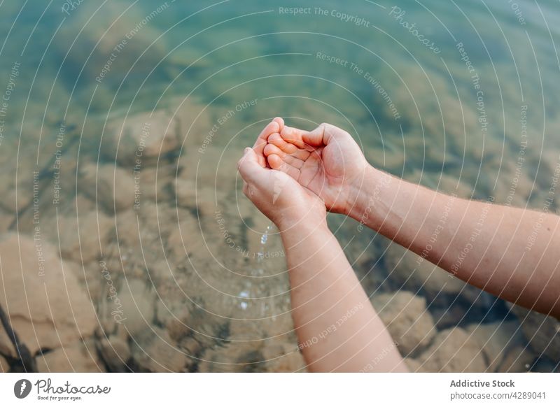 Anonymous person washing with river water forest ecology palm natural pure lake wildlife sunlight hygiene clear laundered dripped reserve protection healthy