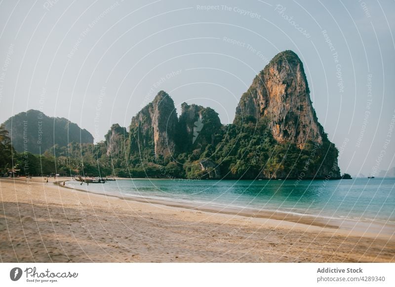 Sandy coast against rocky formations beach shore sea water cliff nature seashore mountain seaside tropical tree green summer embankment ocean calm stone