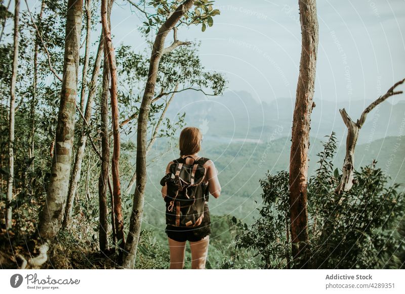 Faceless woman with backpack standing above forest backpacker hiker jungle tree travel nature journey explore traveler green female plant vegetate rucksack