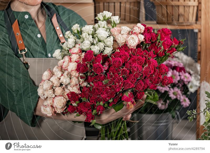 Woman florist is holding a large bouquet of roses. Florist workplace. Small business concept. Flowers and accessories shop. Close-up beautiful woman make gift