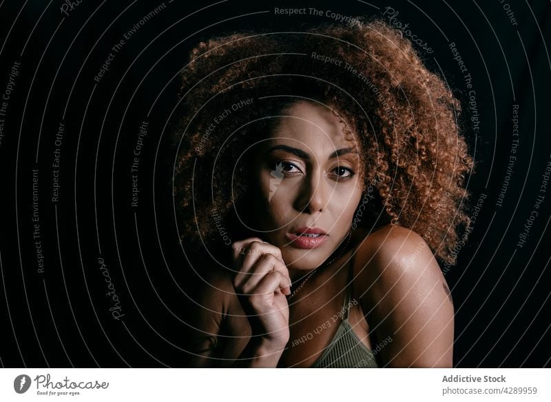 Black woman in dark studio model curly hair afro hairstyle appearance charming calm female ethnic black african american feminine confident personality perfect