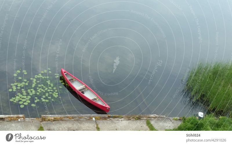 Canoe lonely at the jetty - with water lilies and reeds boat Water lily Bird's-eye view Lake Calm windless Red Rudbeckia Woman covert Break tranquillity