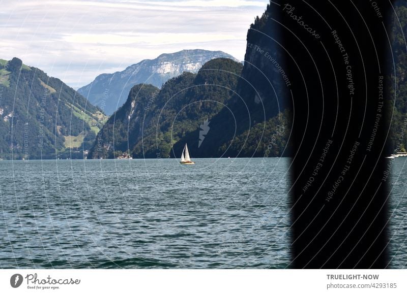 Going for a swim in between. View from a boat hut at Lake Lucerne or Vierwaldstätter See in Switzerland on the water, in the distance a sailboat and in the background mountains.