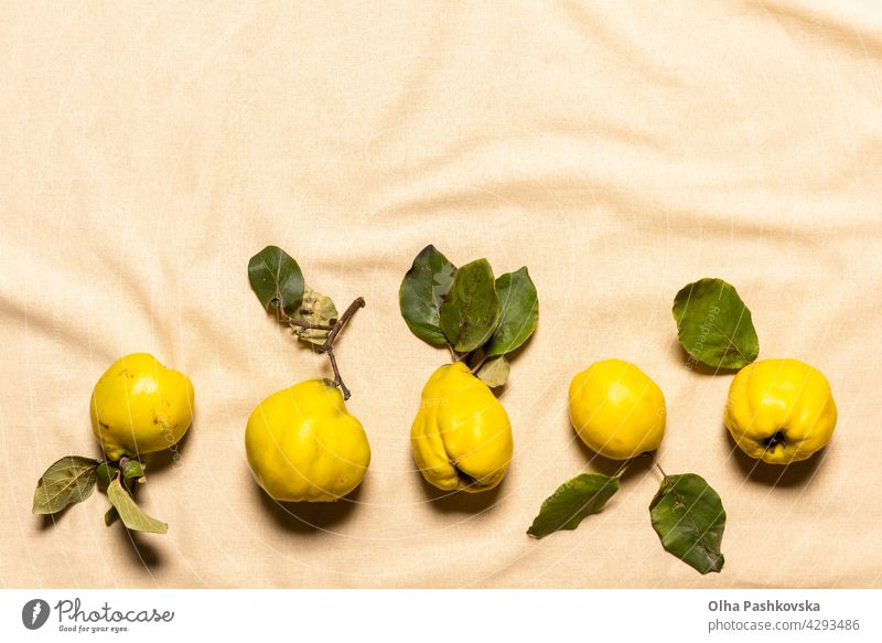 Row of quince apples on linen with copy space above natural organic imperfect background juicy vegetarian lay leaf vegan nature nutrition table quince fruit raw