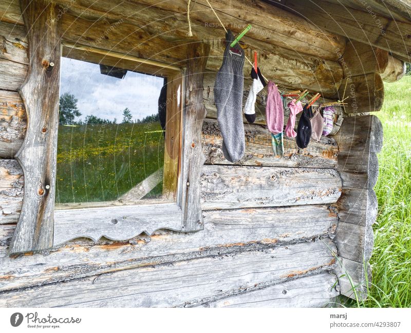 The single sock hiking trail begins here, at this old, weathered cabin. Hut Wooden wall Window Wall (building) Idyll idyllically Rustic Solid alpine hut