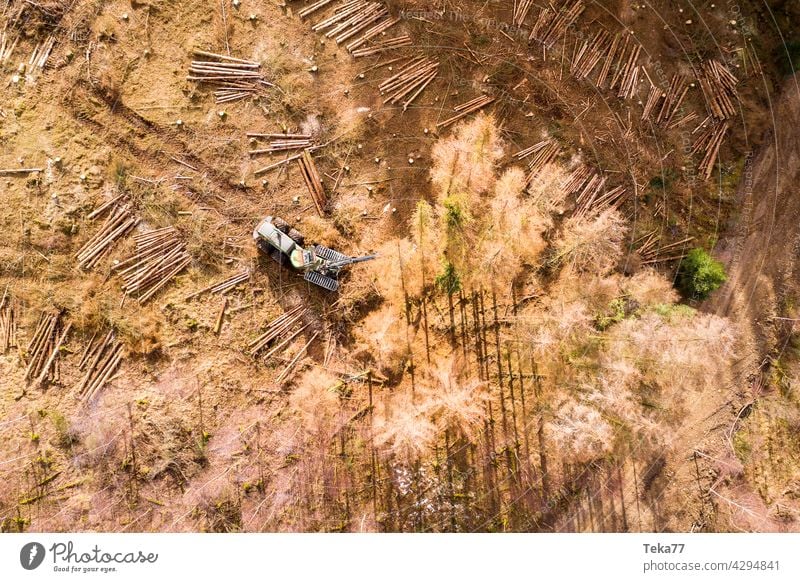 a forest harvster in a dead forest from above forest harvester modern harvester wood dead trees orange yellow industry forest industries lumberjack bark beetle