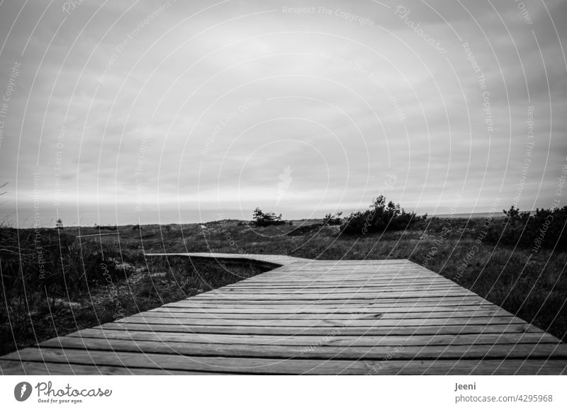 Wooden footbridge through the area Footbridge wooden walkway Lanes & trails off path duene Baltic Sea Darss Landscape Sky Clouds Nature coast Ocean