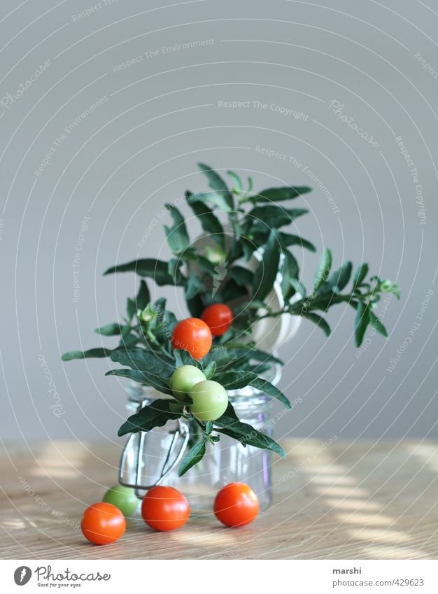 tomät Vegetable Nutrition Eating Plant Bushes Green Red Tomato Tomato plantation Bush tomato Still Life Delicious Decoration Colour photo Interior shot Day