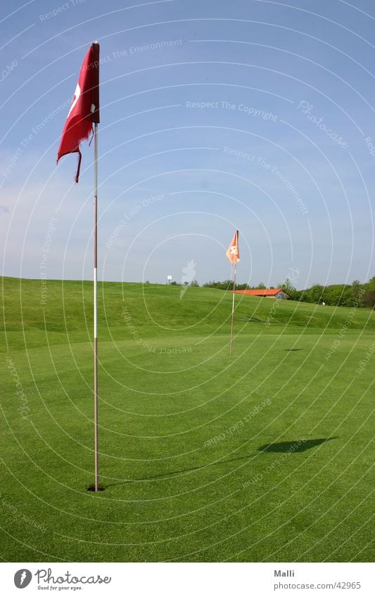 golfers green Golf course Flag Green Sports Blue Sky Hollow fetch