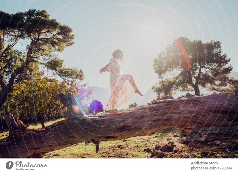 Carefree woman in dress standing on tree trunk carefree grace mountain freedom summer elegant serene tranquil female nature calm idyllic tender peaceful harmony