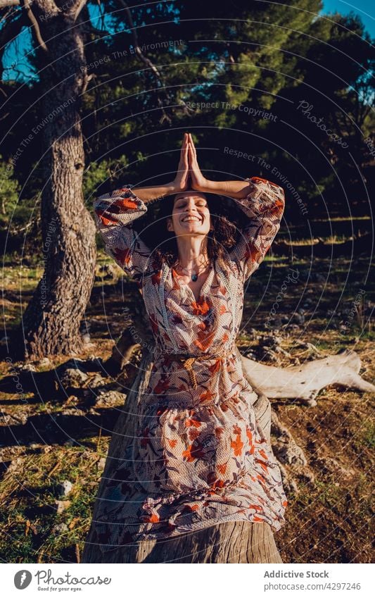 Woman doing yoga in Hero pose in mountains woman practice smile grace asana harmony female virasana meditation dress happy serene tranquil nature tree trunk sit