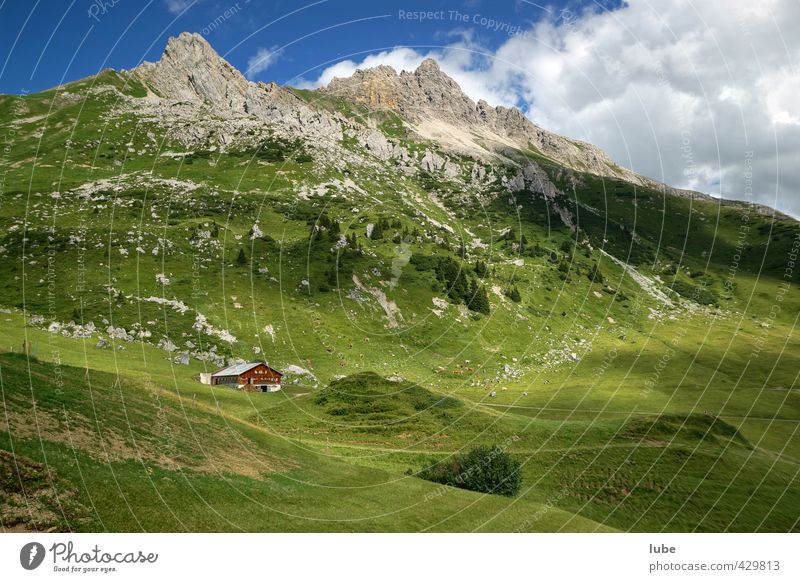 Cottage in the green Tourism Summer Mountain Hiking Environment Nature Landscape Hut Green Forest of Bregenz Federal State of Vorarlberg alphabet Alpine pasture