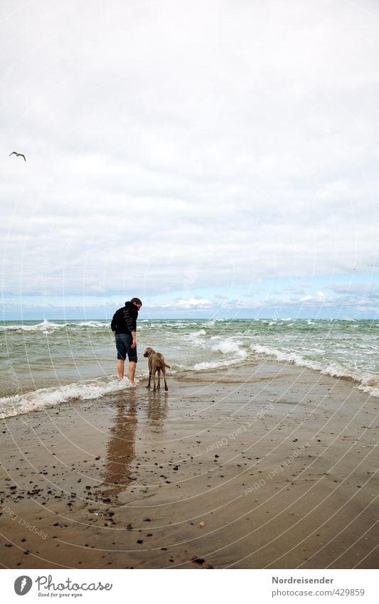 North Sea kisses Baltic Sea Life Harmonious Trip Beach Ocean Waves Human being Young woman Youth (Young adults) Nature Landscape Elements Water Climate Weather