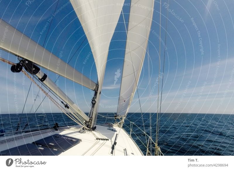 Bow of a sailing ship with sails set Sailing Baltic Sea Hiddensee Rügen Ocean Water Vacation & Travel Horizon Sky Mecklenburg-Western Pomerania Deserted Waves