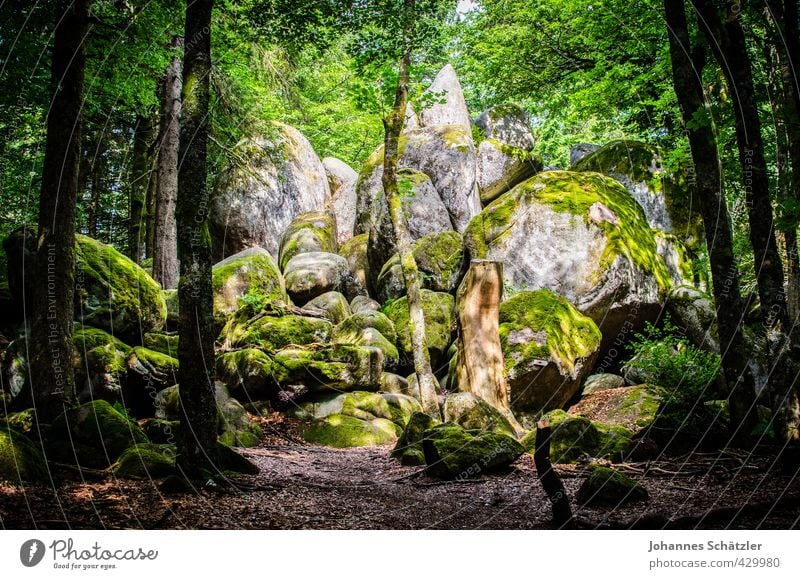 Fairy tale forest, part 2 Nature Summer Beautiful weather Tree Moss Forest Rock Günterfelsen near Furtwangen in the Black Forest Germany Stone Wood Old Historic