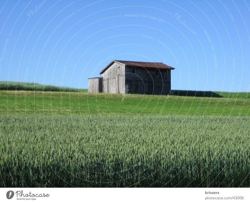 A shed Barn Field Blue Summer Sky Blue sky Calm Individual Grain field Deserted Storage shed Margin of a field