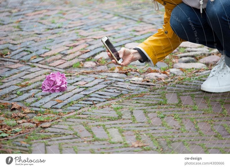 stone Stone off person Cellphone Yellow White