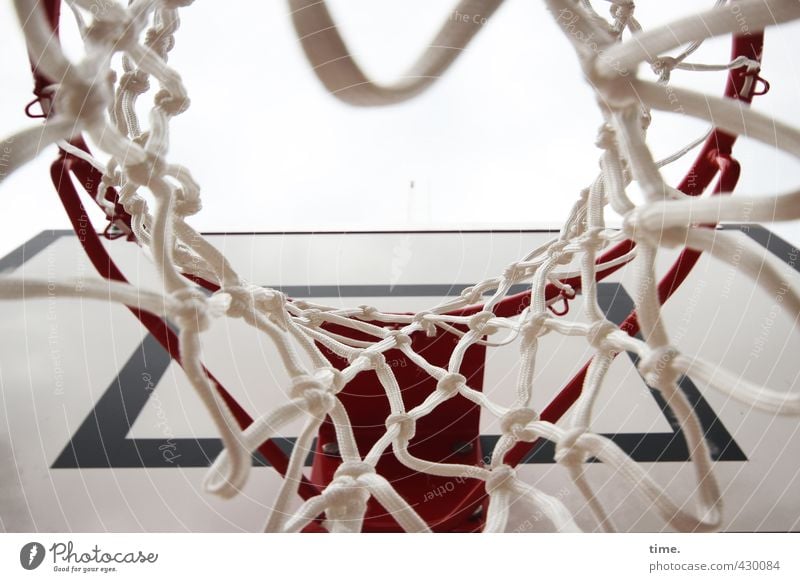 All good things come from above Sports Ball sports Basketball basket Basketball arena Net Sporting Complex Athletic Round Experience Expectation Joy Accuracy